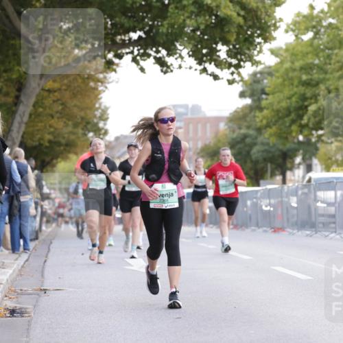 20.09.2026 - PSD Bank Halbmarathon Jannik Wohlers http://msf.ph/oto/10527640 20.09.2026 12:13:07 Laufen 2368, 5 meine-sportfotos.de