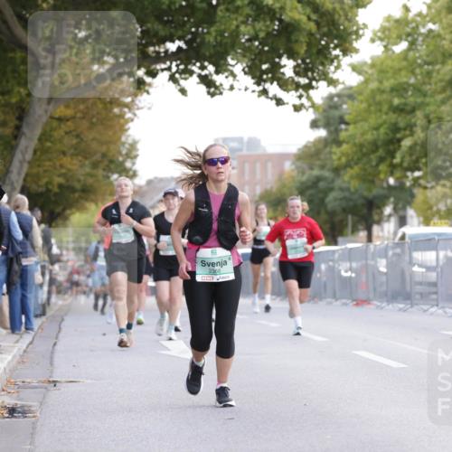 20.09.2026 - PSD Bank Halbmarathon Jannik Wohlers http://msf.ph/oto/10527645 20.09.2026 12:13:07 Laufen 2368 meine-sportfotos.de