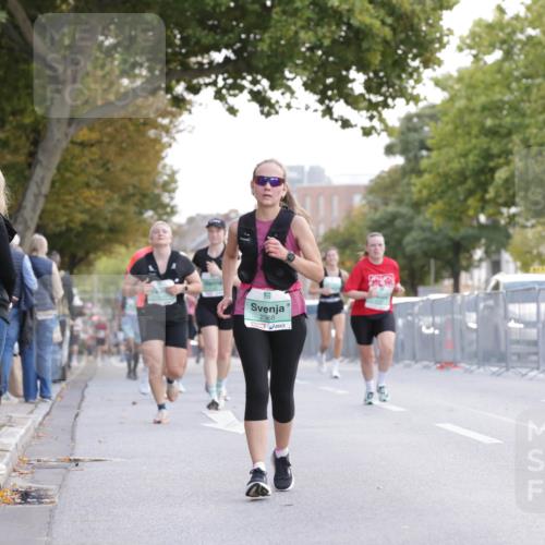 20.09.2026 - PSD Bank Halbmarathon Jannik Wohlers http://msf.ph/oto/10527653 20.09.2026 12:13:07 Laufen 2368 meine-sportfotos.de
