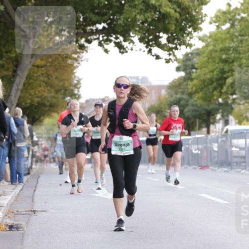 20.09.2026 - PSD Bank Halbmarathon Jannik Wohlers http://msf.ph/oto/10527659 20.09.2026 12:13:07 Laufen 2368 meine-sportfotos.de
