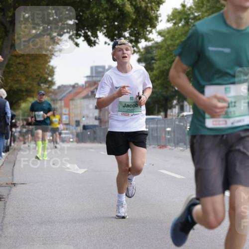 20.09.2026 - PSD Bank Halbmarathon Jannik Wohlers http://msf.ph/oto/10528037 20.09.2026 12:10:23 Laufen 2522 meine-sportfotos.de