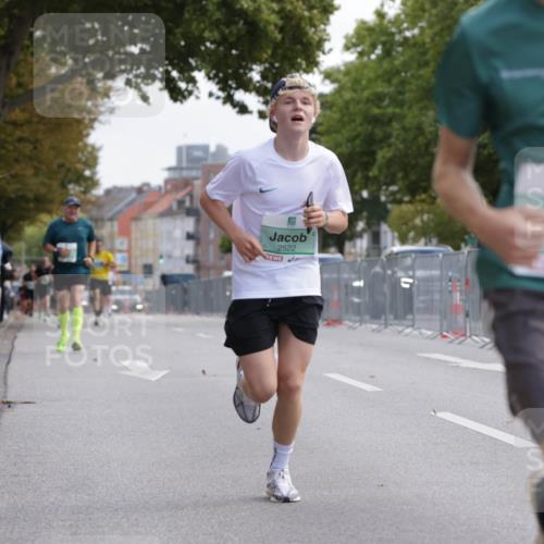 20.09.2026 - PSD Bank Halbmarathon Jannik Wohlers http://msf.ph/oto/10528058 20.09.2026 12:10:24 Laufen 2522 meine-sportfotos.de
