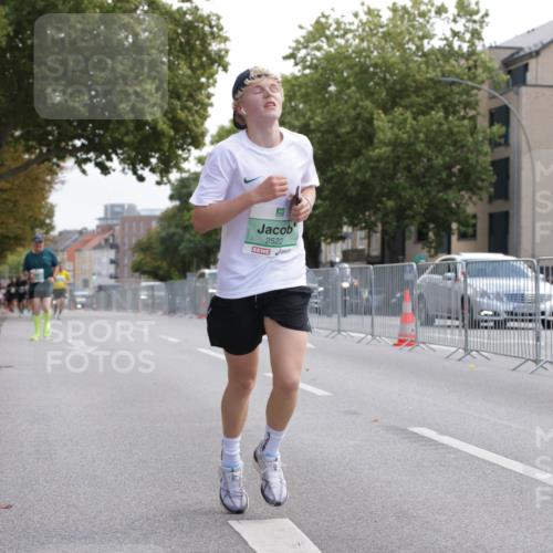 20.09.2026 - PSD Bank Halbmarathon Jannik Wohlers http://msf.ph/oto/10528071 20.09.2026 12:10:25 Laufen 2522 meine-sportfotos.de