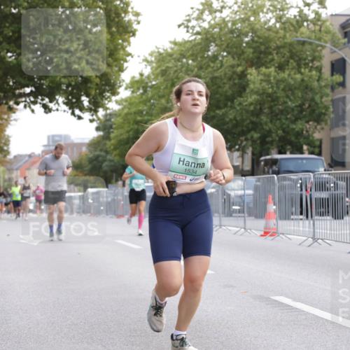 20.09.2026 - PSD Bank Halbmarathon Jannik Wohlers http://msf.ph/oto/10528283 20.09.2026 12:10:57 Laufen 1534 meine-sportfotos.de