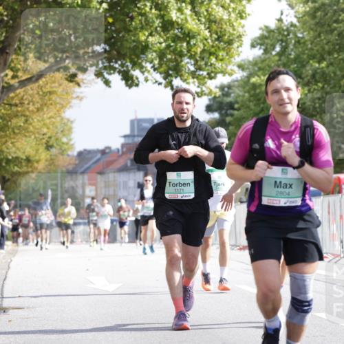 20.09.2026 - PSD Bank Halbmarathon Jannik Wohlers http://msf.ph/oto/10528388 20.09.2026 12:14:29 Laufen 1171, 2804 meine-sportfotos.de