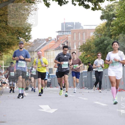 20.09.2026 - PSD Bank Halbmarathon Jannik Wohlers http://msf.ph/oto/10528418 20.09.2026 12:14:39 Laufen  meine-sportfotos.de