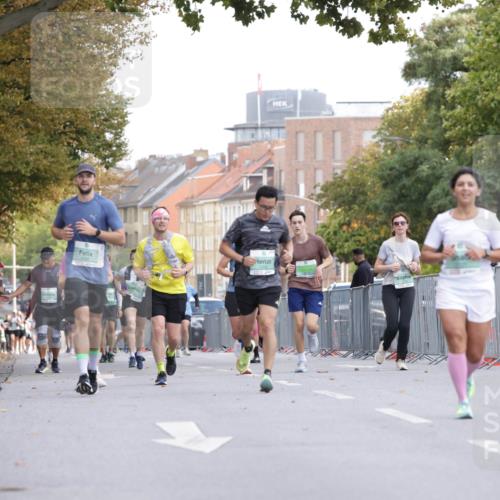 20.09.2026 - PSD Bank Halbmarathon Jannik Wohlers http://msf.ph/oto/10528421 20.09.2026 12:14:39 Laufen  meine-sportfotos.de