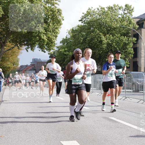 20.09.2026 - PSD Bank Halbmarathon Jannik Wohlers http://msf.ph/oto/10528593 20.09.2026 12:15:21 Laufen 1038, 55, 149 meine-sportfotos.de