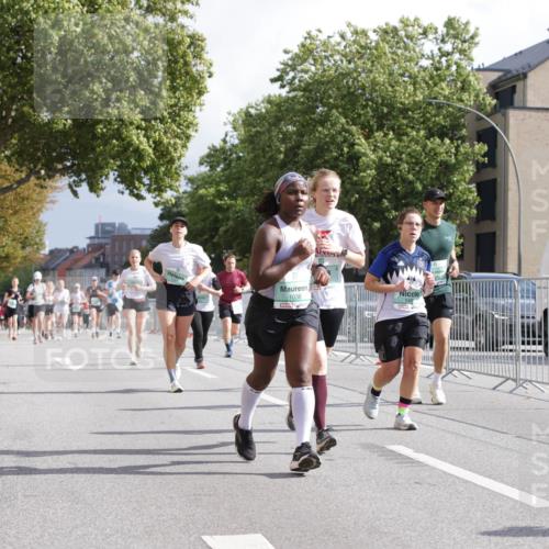 20.09.2026 - PSD Bank Halbmarathon Jannik Wohlers http://msf.ph/oto/10528599 20.09.2026 12:15:21 Laufen 1038, 149 meine-sportfotos.de