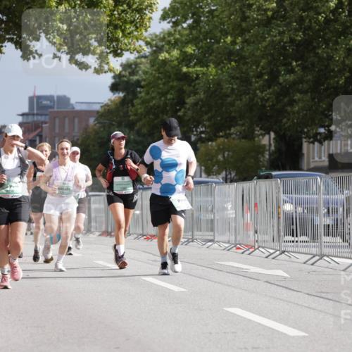 20.09.2026 - PSD Bank Halbmarathon Jannik Wohlers http://msf.ph/oto/10528611 20.09.2026 12:15:28 Laufen 3030, 2162 meine-sportfotos.de