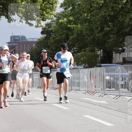 20.09.2026 - PSD Bank Halbmarathon Jannik Wohlers http://msf.ph/oto/10528613 20.09.2026 12:15:28 Laufen 3030, 4283 meine-sportfotos.de