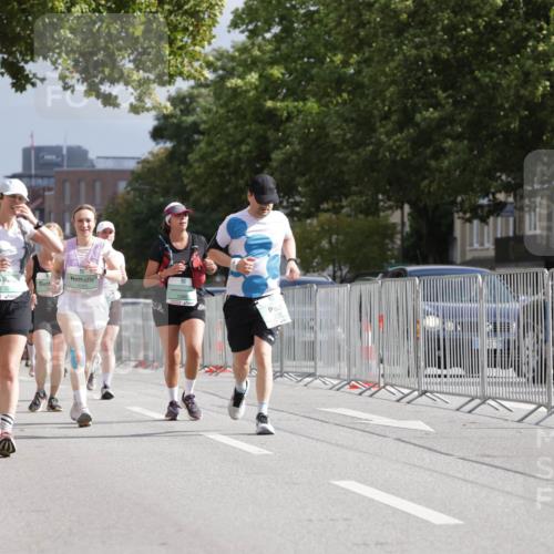 20.09.2026 - PSD Bank Halbmarathon Jannik Wohlers http://msf.ph/oto/10528618 20.09.2026 12:15:28 Laufen 2162, 4283 meine-sportfotos.de