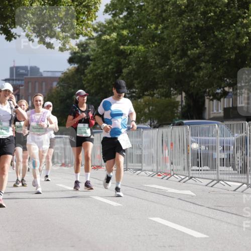 20.09.2026 - PSD Bank Halbmarathon Jannik Wohlers http://msf.ph/oto/10528619 20.09.2026 12:15:28 Laufen 133 meine-sportfotos.de
