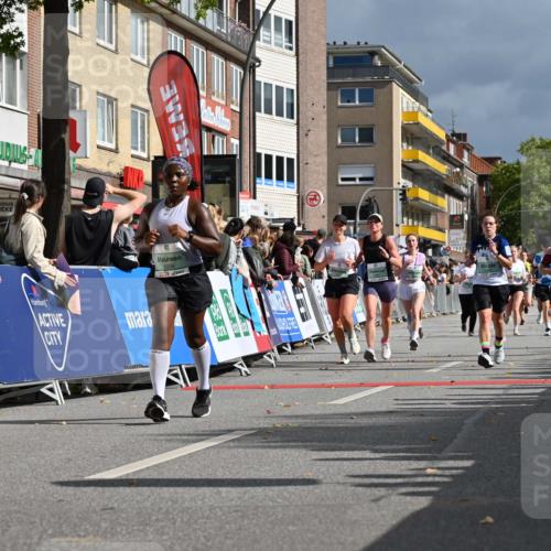 20.09.2026 - PSD Bank Halbmarathon J. Mangold http://msf.ph/oto/10529246 20.09.2026 12:13:32 Ziel 1038, 1226, 1380, 1387, 1490, 1964, 2091, 2856, 3739, 3792, 4283, 4444 meine-sportfotos.de