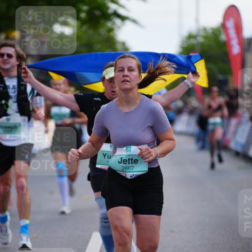 20.09.2026 - PSD Bank Halbmarathon LAZAROV Photography http://msf.ph/oto/10529567 20.09.2026 12:10:06 Ziel 1180, 1942, 2278, 2497, 2667, 3338, 4397 meine-sportfotos.de