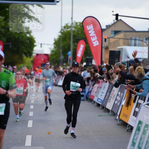 20.09.2026 - PSD Bank Halbmarathon LAZAROV Photography http://msf.ph/oto/10530972 20.09.2026 12:11:20 Ziel 1478, 2719, 3814 meine-sportfotos.de