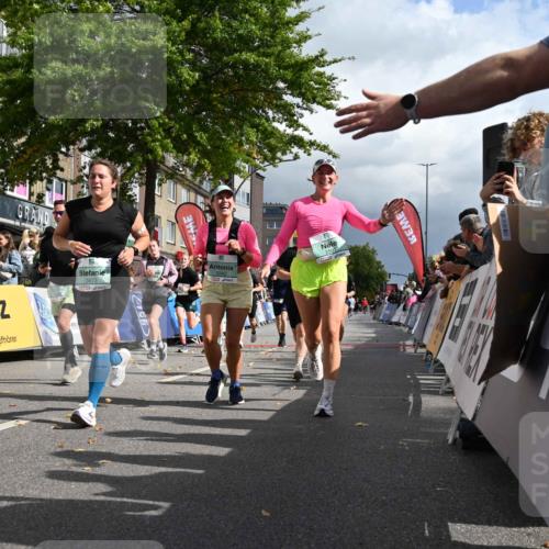 20.09.2026 - PSD Bank Halbmarathon J. Mangold http://msf.ph/oto/10535714 20.09.2026 12:25:30 Ziel 1652, 1798, 2216, 2287, 2507, 2953, 2954, 3242, 3666, 3873, 4749 meine-sportfotos.de