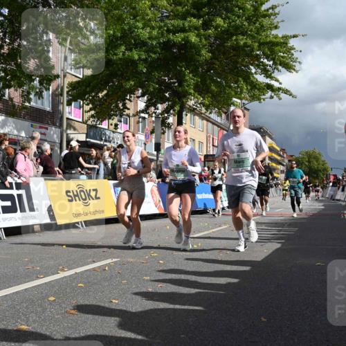 20.09.2026 - PSD Bank Halbmarathon J. Mangold http://msf.ph/oto/10535766 20.09.2026 12:25:45 Ziel 1259, 2824, 3900, 4390, 4391, 4392, 4588 meine-sportfotos.de