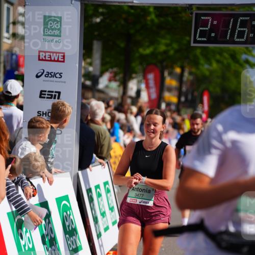 20.09.2026 - PSD Bank Halbmarathon LAZAROV Photography http://msf.ph/oto/10535773 20.09.2026 12:16:54 Ziel 1060, 2535, 2574, 2646, 3274, 3477, 3611 meine-sportfotos.de