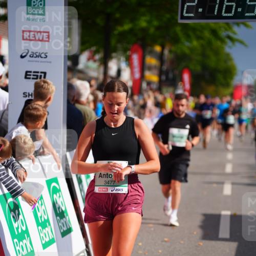 20.09.2026 - PSD Bank Halbmarathon LAZAROV Photography http://msf.ph/oto/10535779 20.09.2026 12:16:54 Ziel 1060, 2535, 2574, 2646, 3274, 3477, 3611 meine-sportfotos.de