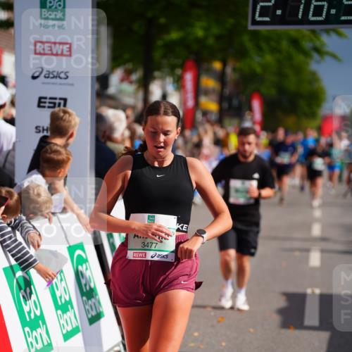 20.09.2026 - PSD Bank Halbmarathon LAZAROV Photography http://msf.ph/oto/10535785 20.09.2026 12:16:54 Ziel 1060, 2535, 2574, 2646, 3274, 3477, 3611 meine-sportfotos.de