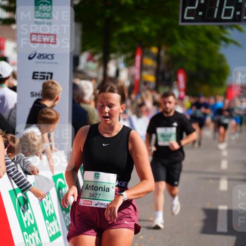 20.09.2026 - PSD Bank Halbmarathon LAZAROV Photography http://msf.ph/oto/10535796 20.09.2026 12:16:54 Ziel 1060, 2535, 2574, 2646, 3274, 3477, 3611 meine-sportfotos.de