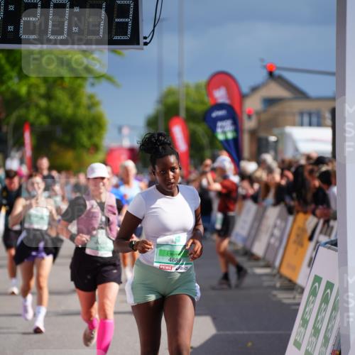 20.09.2026 - PSD Bank Halbmarathon LAZAROV Photography http://msf.ph/oto/10537552 20.09.2026 12:20:13 Ziel 2737, 2933, 3085, 3429, 3688, 3735, 4085, 4626, 4689 meine-sportfotos.de