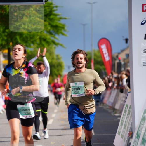 20.09.2026 - PSD Bank Halbmarathon LAZAROV Photography http://msf.ph/oto/10542157 20.09.2026 12:27:50 Ziel 2943, 3564, 4003, 4187, 4242, 4244, 4264 meine-sportfotos.de