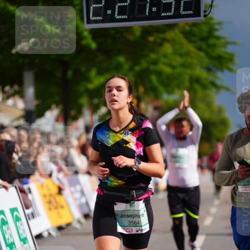 20.09.2026 - PSD Bank Halbmarathon LAZAROV Photography http://msf.ph/oto/10542163 20.09.2026 12:27:51 Ziel 1517, 2943, 3564, 4003, 4187, 4242, 4244 meine-sportfotos.de