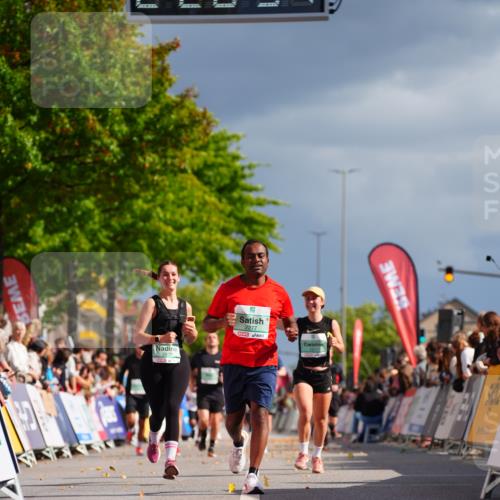 20.09.2026 - PSD Bank Halbmarathon LAZAROV Photography http://msf.ph/oto/10542387 20.09.2026 12:28:36 Ziel 1117, 2172, 2277, 3343, 3907, 3958, 3959 meine-sportfotos.de