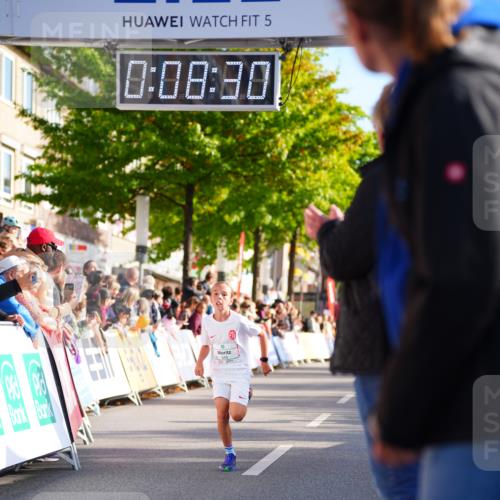 20.09.2026 - PSD Bank Halbmarathon LAZAROV Photography http://msf.ph/oto/10547770 20.09.2026 10:27:54 Ziel 345, 412 meine-sportfotos.de