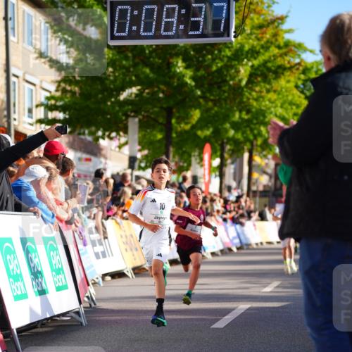 20.09.2026 - PSD Bank Halbmarathon LAZAROV Photography http://msf.ph/oto/10547779 20.09.2026 10:28:01 Ziel 216, 241, 345, 457 meine-sportfotos.de
