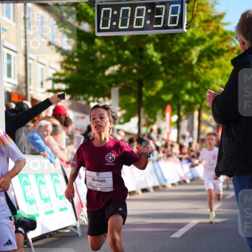 20.09.2026 - PSD Bank Halbmarathon LAZAROV Photography http://msf.ph/oto/10547785 20.09.2026 10:28:02 Ziel 216, 241, 250, 345, 457 meine-sportfotos.de
