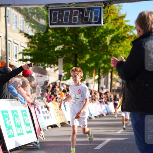 20.09.2026 - PSD Bank Halbmarathon LAZAROV Photography http://msf.ph/oto/10547787 20.09.2026 10:28:04 Ziel 216, 241, 250, 445, 457 meine-sportfotos.de