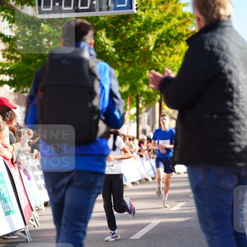 20.09.2026 - PSD Bank Halbmarathon LAZAROV Photography http://msf.ph/oto/10547807 20.09.2026 10:28:13 Ziel 123, 130, 250, 262, 271, 419, 445 meine-sportfotos.de
