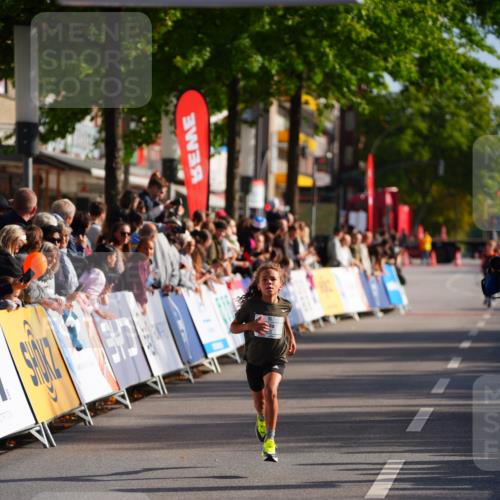 20.09.2026 - PSD Bank Halbmarathon LAZAROV Photography http://msf.ph/oto/10547819 20.09.2026 10:28:26 Ziel 324 meine-sportfotos.de