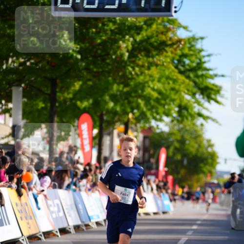 20.09.2026 - PSD Bank Halbmarathon LAZAROV Photography http://msf.ph/oto/10547836 20.09.2026 10:28:42 Ziel 111, 362 meine-sportfotos.de