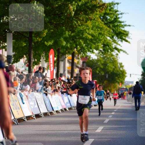 20.09.2026 - PSD Bank Halbmarathon LAZAROV Photography http://msf.ph/oto/10547863 20.09.2026 10:29:01 Ziel 206, 211, 242, 258, 301, 354 meine-sportfotos.de
