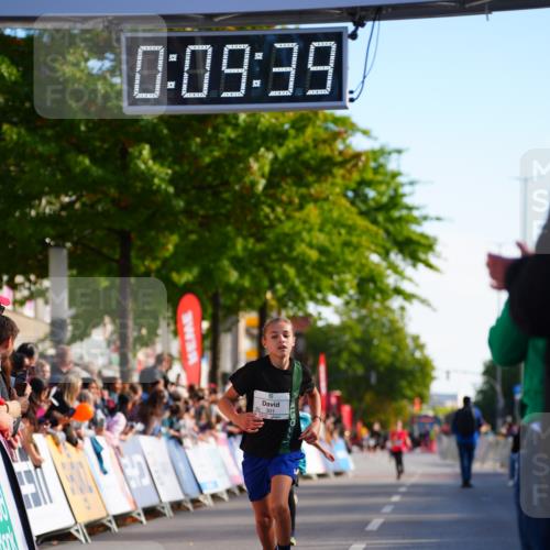 20.09.2026 - PSD Bank Halbmarathon LAZAROV Photography http://msf.ph/oto/10547866 20.09.2026 10:29:04 Ziel 206, 211, 242, 258, 301 meine-sportfotos.de