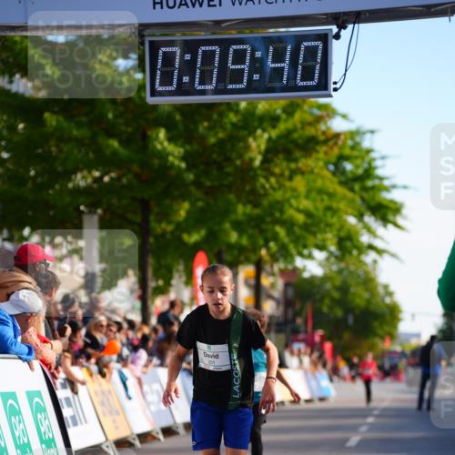 20.09.2026 - PSD Bank Halbmarathon LAZAROV Photography http://msf.ph/oto/10547870 20.09.2026 10:29:04 Ziel 206, 211, 242, 258, 301 meine-sportfotos.de