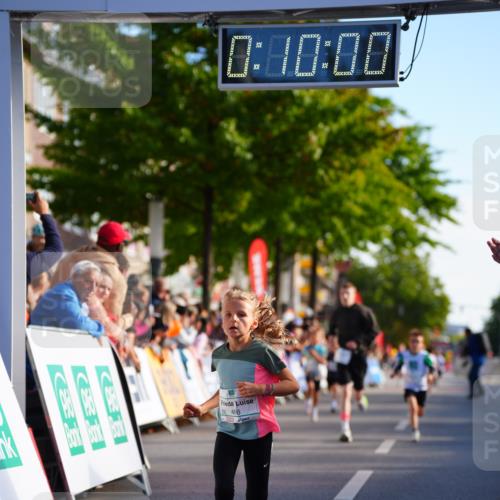 20.09.2026 - PSD Bank Halbmarathon LAZAROV Photography http://msf.ph/oto/10547890 20.09.2026 10:29:24 Ziel 137, 181, 377, 406 meine-sportfotos.de