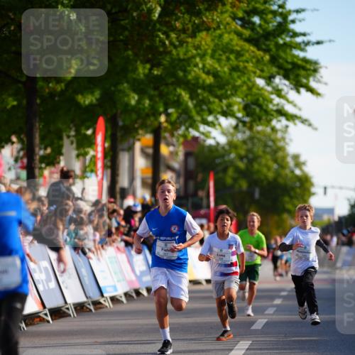 20.09.2026 - PSD Bank Halbmarathon LAZAROV Photography http://msf.ph/oto/10547915 20.09.2026 10:29:33 Ziel 102, 137, 140, 181, 228, 357, 368, 377, 434 meine-sportfotos.de