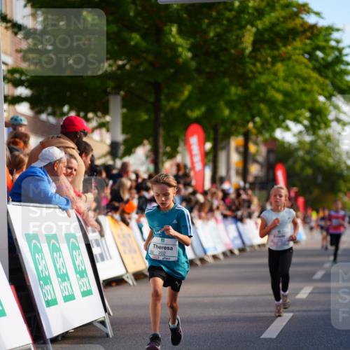 20.09.2026 - PSD Bank Halbmarathon LAZAROV Photography http://msf.ph/oto/10547947 20.09.2026 10:29:50 Ziel 112, 165, 202, 231, 279, 417 meine-sportfotos.de