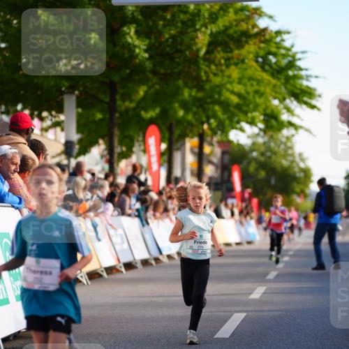 20.09.2026 - PSD Bank Halbmarathon LAZAROV Photography http://msf.ph/oto/10547949 20.09.2026 10:29:50 Ziel 112, 165, 202, 231, 279, 417 meine-sportfotos.de
