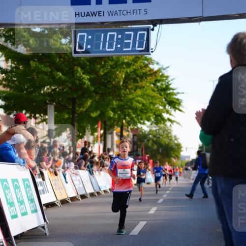 20.09.2026 - PSD Bank Halbmarathon LAZAROV Photography http://msf.ph/oto/10547956 20.09.2026 10:29:54 Ziel 112, 202, 266, 279 meine-sportfotos.de