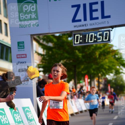 20.09.2026 - PSD Bank Halbmarathon LAZAROV Photography http://msf.ph/oto/10547988 20.09.2026 10:30:14 Ziel 116, 167, 183, 310, 312, 315, 318, 361, 405, 456 meine-sportfotos.de
