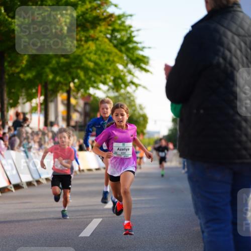 20.09.2026 - PSD Bank Halbmarathon LAZAROV Photography http://msf.ph/oto/10547994 20.09.2026 10:30:16 Ziel 116, 167, 297, 310, 315, 318, 405, 456 meine-sportfotos.de