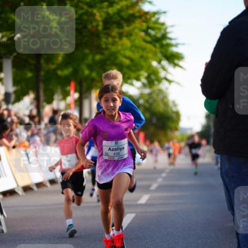 20.09.2026 - PSD Bank Halbmarathon LAZAROV Photography http://msf.ph/oto/10547996 20.09.2026 10:30:17 Ziel 116, 167, 297, 310, 315, 405, 456 meine-sportfotos.de
