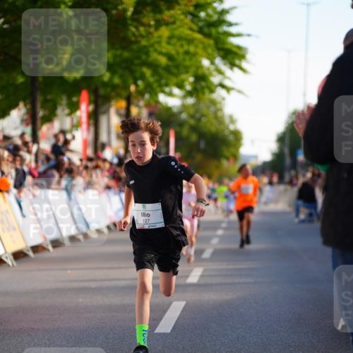 20.09.2026 - PSD Bank Halbmarathon LAZAROV Photography http://msf.ph/oto/10548006 20.09.2026 10:30:23 Ziel 110, 127, 167, 275, 297, 397, 405, 456 meine-sportfotos.de
