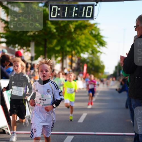 20.09.2026 - PSD Bank Halbmarathon LAZAROV Photography http://msf.ph/oto/10548026 20.09.2026 10:30:34 Ziel 110, 114, 159, 160, 176, 256, 257, 275, 391, 397, 408 meine-sportfotos.de